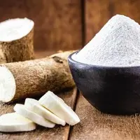 lipo gummies ingredient image